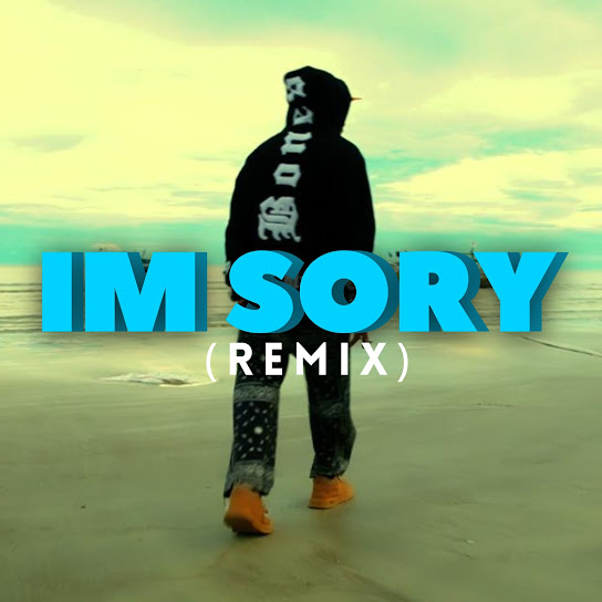 IM SoRy [Remix]