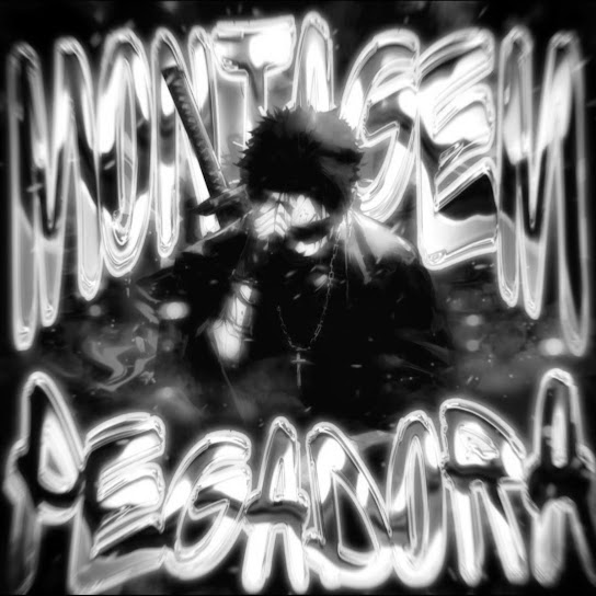 MONTAGEM PEGADORA (Remixes)