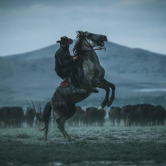 The Outlaw