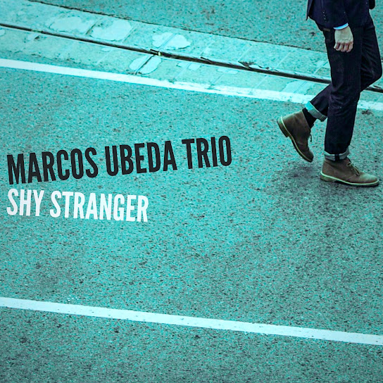 Shy Stranger
