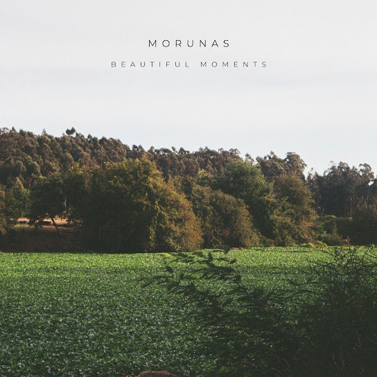 Beautiful Moments