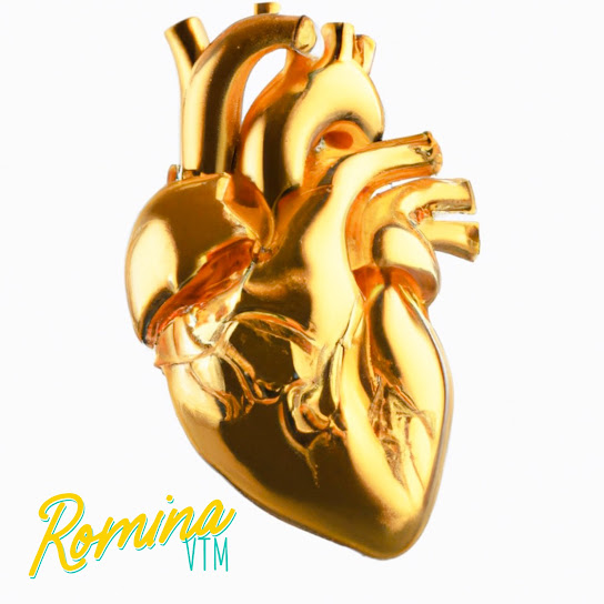 Inimă de Aur (From "Romina VTM" The Movie)