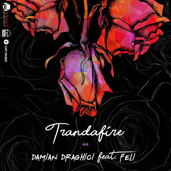 Trandafire