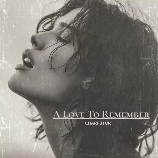 A Love To Remember