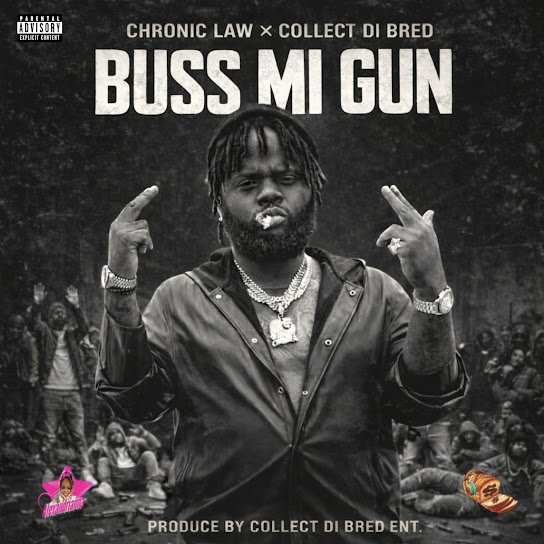 Buss Mi Gun