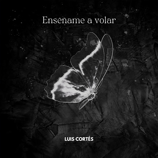 Enséñame a Volar