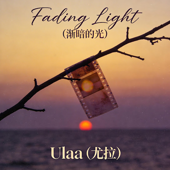 Fading Light（渐暗的光）