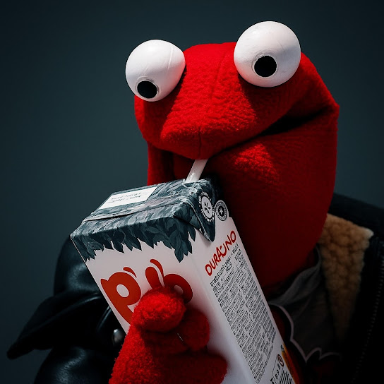 R4n4sec4 vl.2