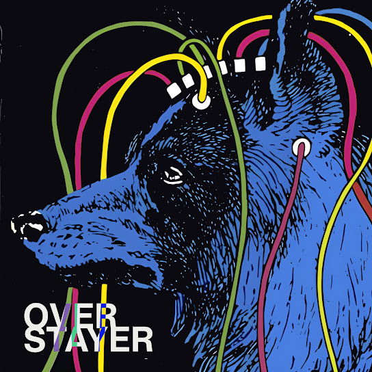 Overstayer