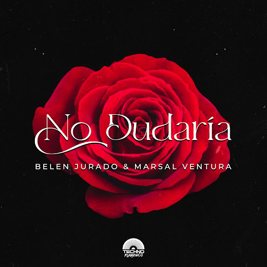No Dudaría