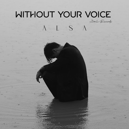Without Your Voice
