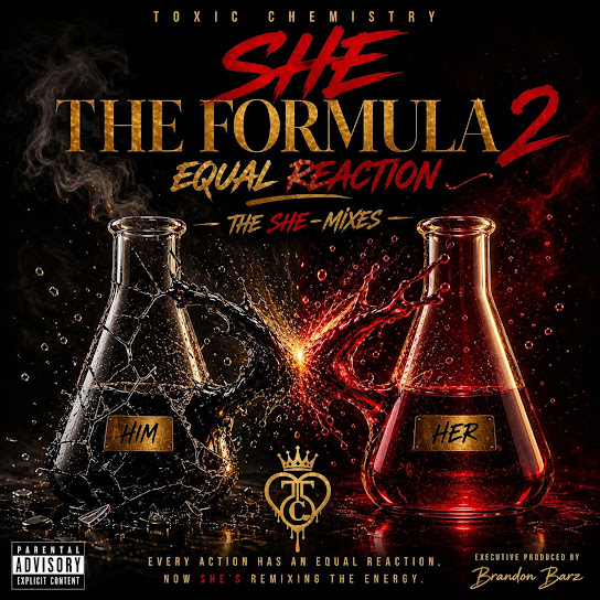 SHE THE FORMULA 2: EQUAL REACTION (THE SHE-MIXES)