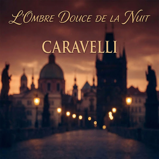 L'Ombre Douce De La Nuit