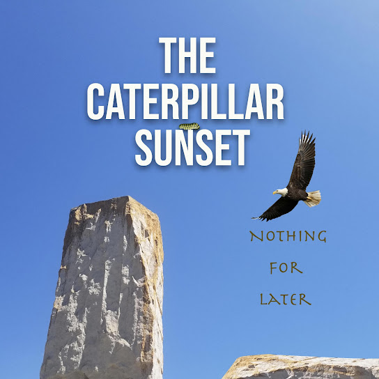 Nothing For Later