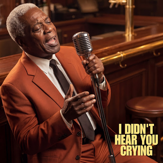 I Didn't Hear You Crying
