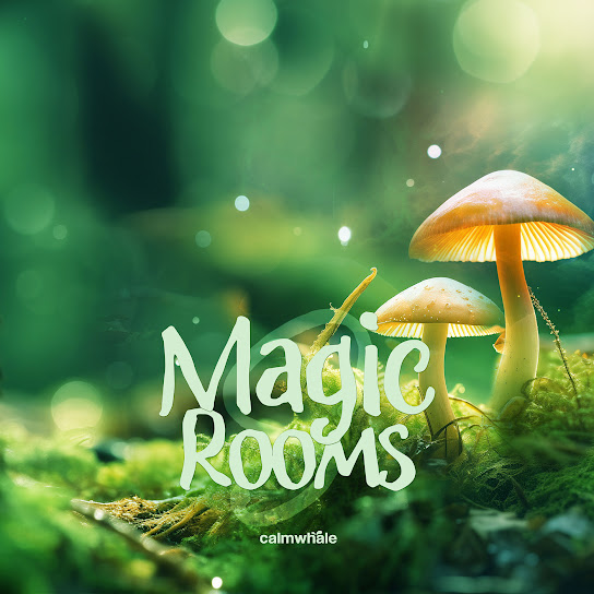 Magic Rooms