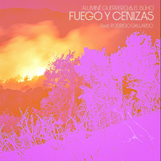 Fuego y Cenizas