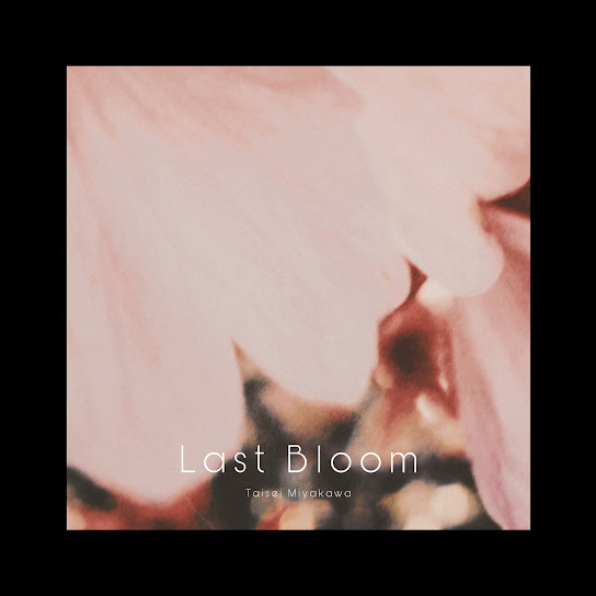 Last Bloom