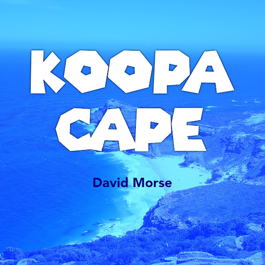 Koopa Cape