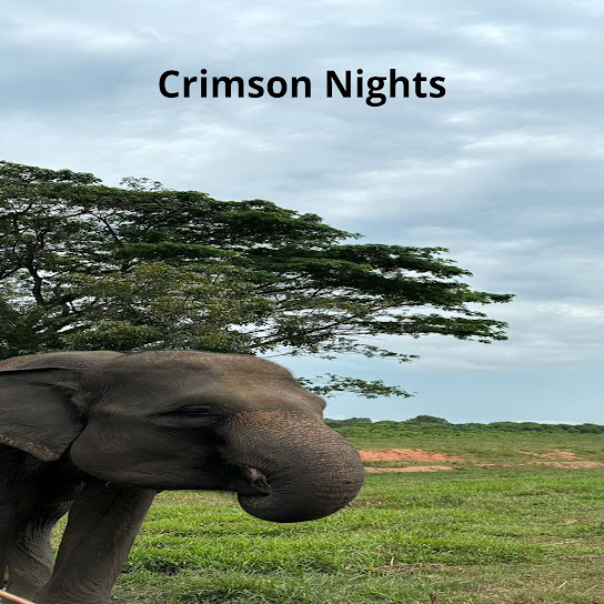 Crimson Nights