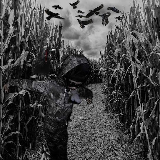 Posted Where the Scarecrows Play