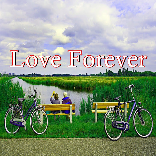 Love Forever