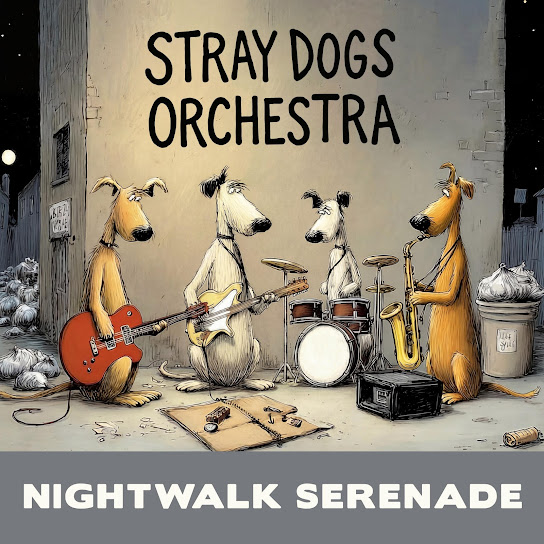 Nightwalk Serenade