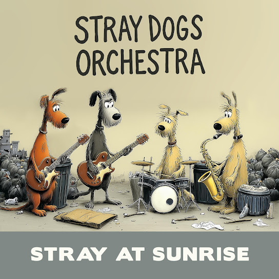 Stray at Sunrise