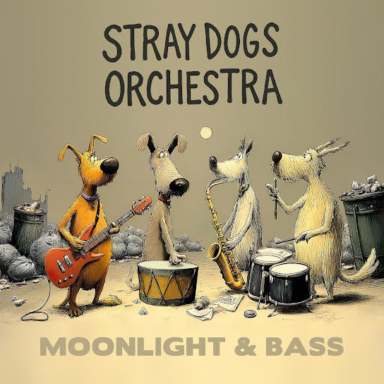 Moonlight & Bass