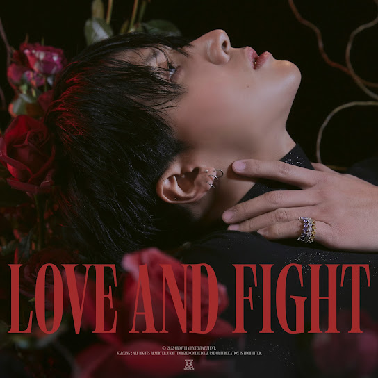 LOVE & FIGHT