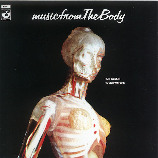 Music From The Body