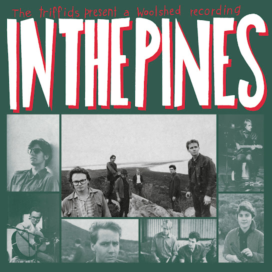 In the Pines