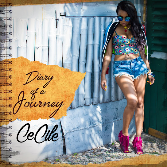 Diary of a Journey