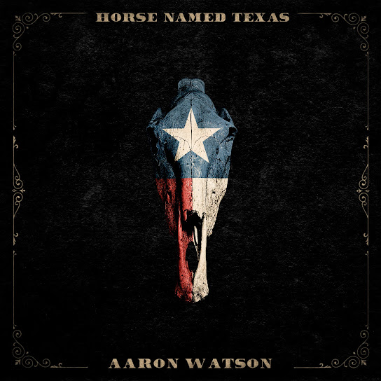 Horse Named Texas