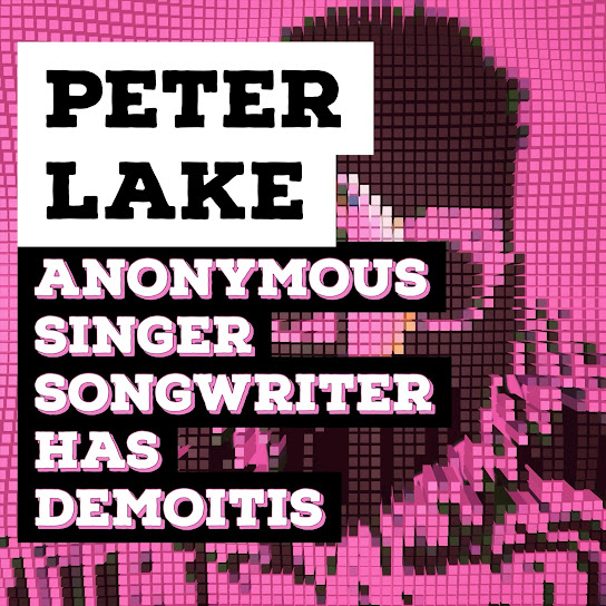 Peter Lake Anonymous Singer Songwriter Has Demoitis