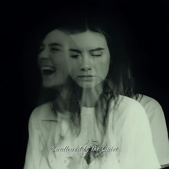 Swallowed by the Quiet