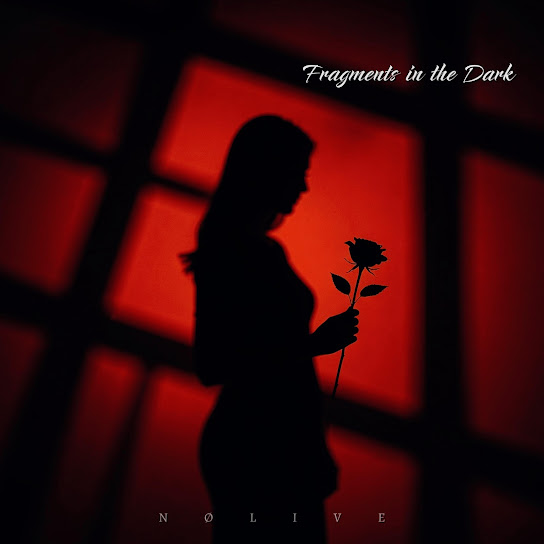 Fragments in the Dark