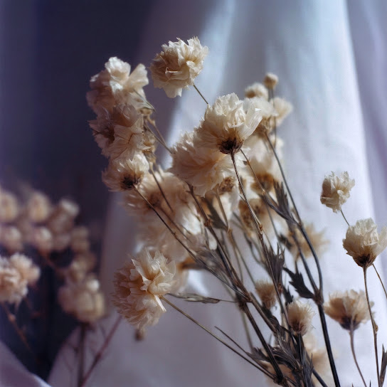 Whisper in the Afternoon