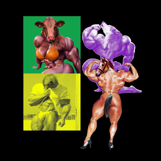 Airborne Lard