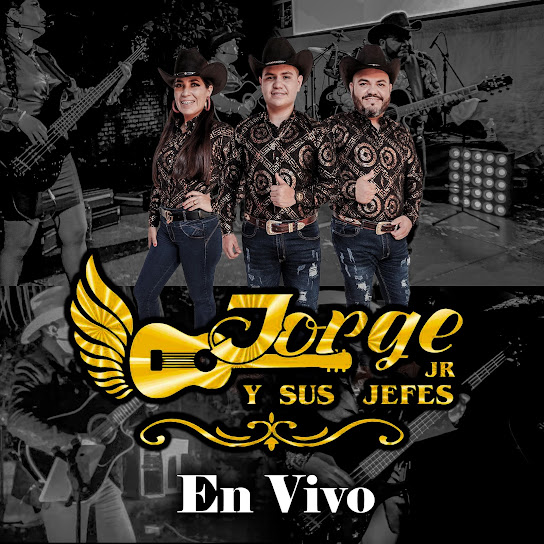 Disco (En Vivo's)