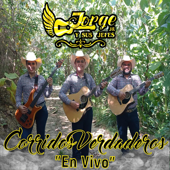 Corridos Verdaderos (En Vivo)