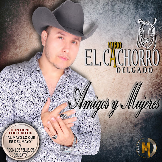Amigos y Mujeres