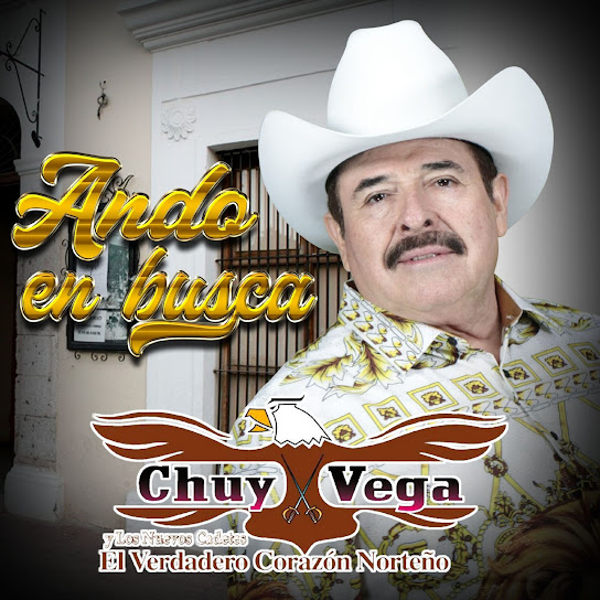 Ando en Busca