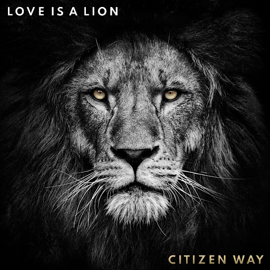 Love Is A Lion