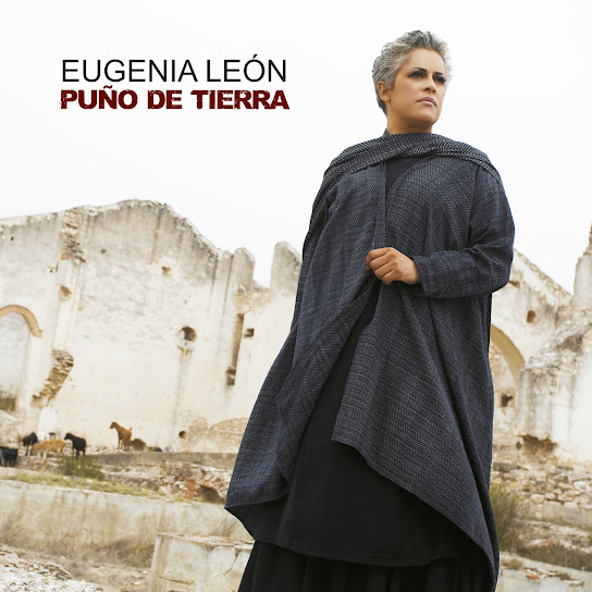 Puño de Tierra