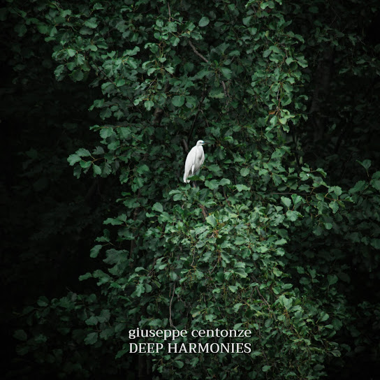 Deep Harmonies