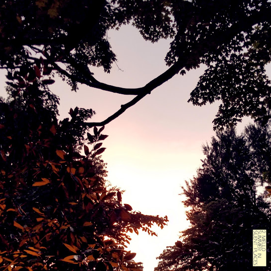 Summer in Silent Places