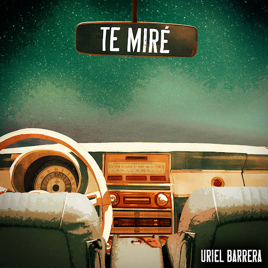 Te Miré