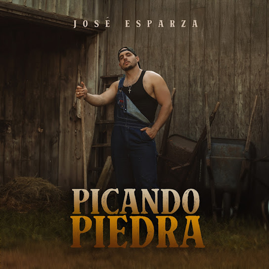 Picando Piedra