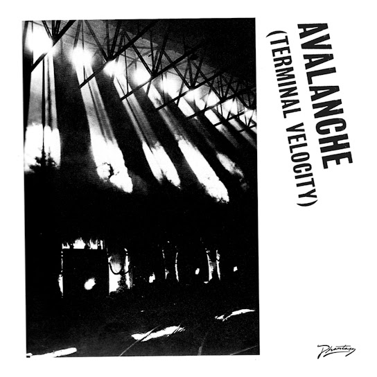 Avalanche (Terminal Velocity) (feat. Jarvis Cocker)